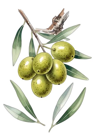 Imagen PNG para descargar